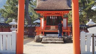 少し離れた場所にありました