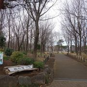 大人も子供も楽しめる広い公園