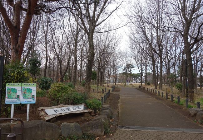 大人も子供も楽しめる広い公園