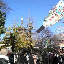 名物の羽子板市の時期で、お店の軒先には大きい羽子板の看板