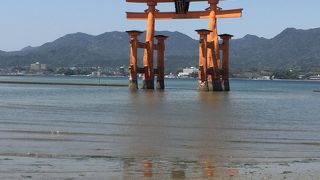 女性と子どもは鹿に要注意の世界遺産