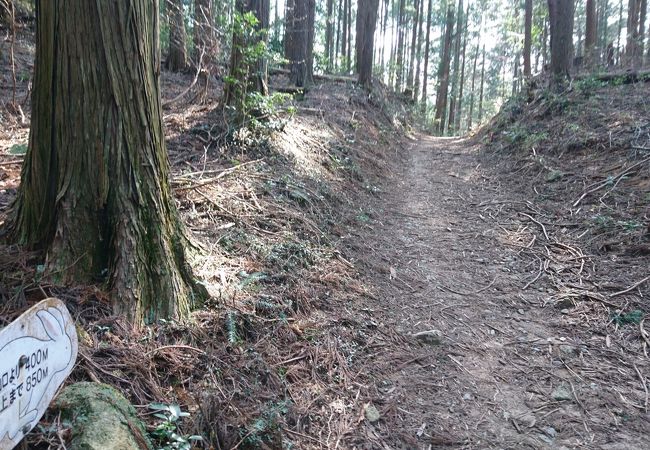 散歩登山