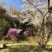 時間厳守の花の苑です。