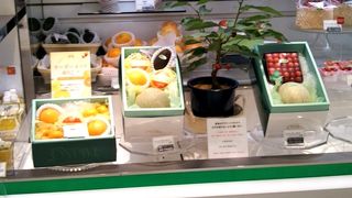 フレッシュフルーツギフト