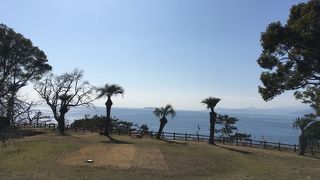 南国にいるような見晴らしのいい公園と西部警察の消防車