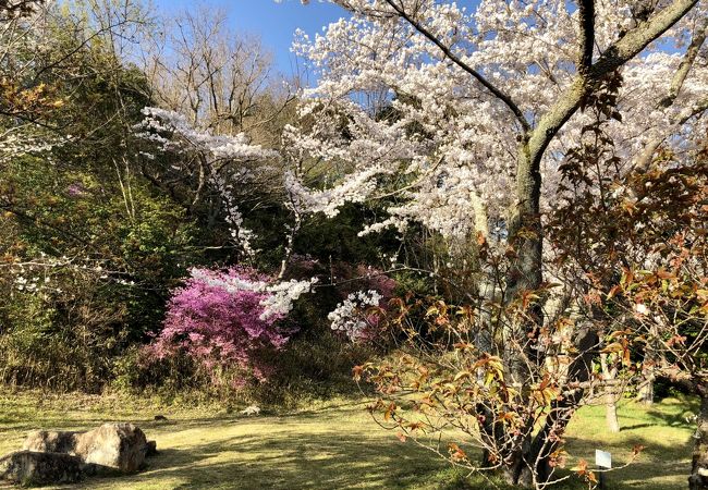 時間厳守の花の苑です。