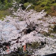 日本を代表する寝仏の一つじゃないかな。桜の季節、紅葉の季節がお勧め。