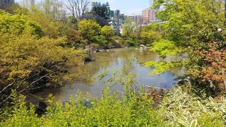 六本木界隈の中のオアシスという感じです。