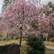 嵐山公園