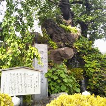 神田明神 獅子山