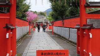 小さな神社には　石がいっぱいだった　車折神社