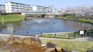 ４月は桜がキレイでした