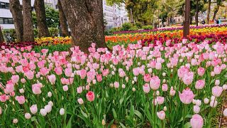 ガーデンネックレス2020のチューリップ部門のメイン会場。