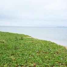 名蔵大橋の下から見たところ。