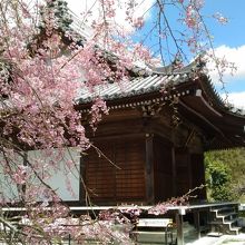 易産山 護国院 地蔵寺 (子安地蔵寺)