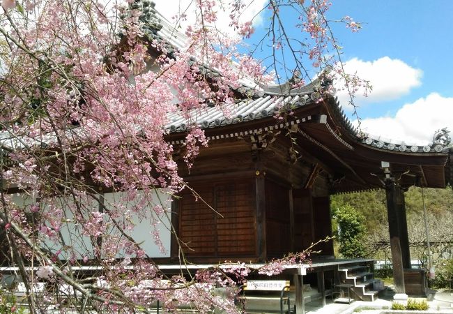 易産山 護国院 地蔵寺 (子安地蔵寺)