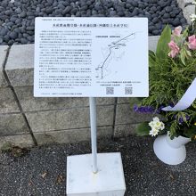 沖縄水産学校学徒隊の足跡。