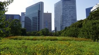 浜離宮恩賜庭園