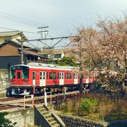 美味しいスイーツと電車と桜のツーショット♪