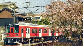 美味しいスイーツと電車と桜のツーショット♪