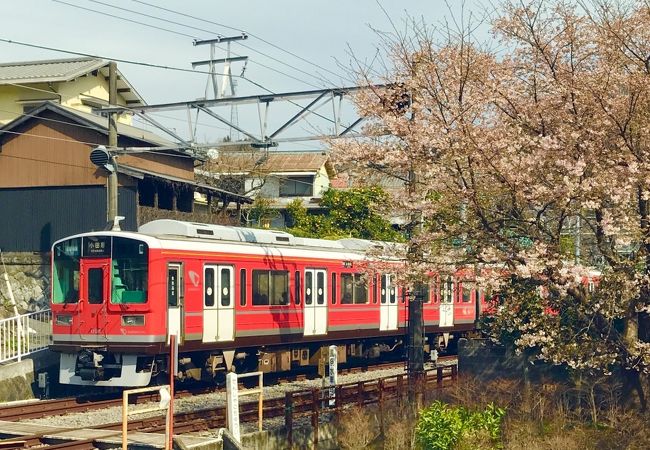 美味しいスイーツと電車と桜のツーショット♪