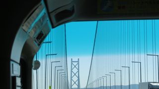 美しさと力強さの調和