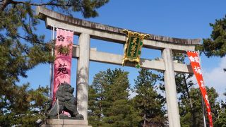 青空に映えて美しい