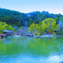 浄土庭園から阿弥陀堂を望む