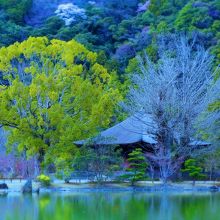 浄土庭園から見た阿弥陀堂