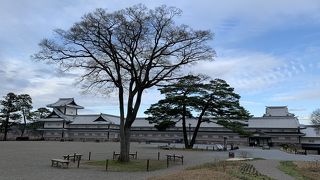 橋爪門から二の丸広場へ