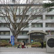 理系の国立難関大学