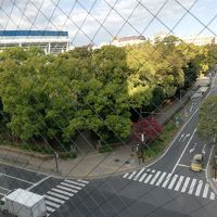 部屋からの景色