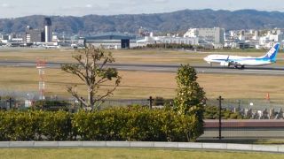 伊丹空港のビュースポット　下水処理場の屋上公園