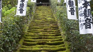 幟旗が独特の景観「杉本寺」