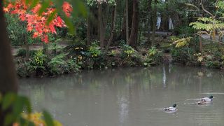 気持ちのいいスポットです！