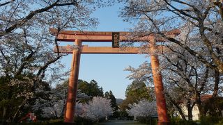 京都を真似しよう！！！！・・・・・の中心的存在！