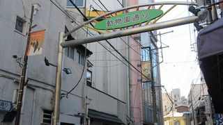 この道沿いに動物園がある訳ではないですが・・・。