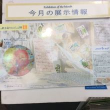今月の展示