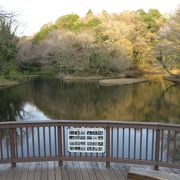 かつての旧道が続く自然豊かな公園