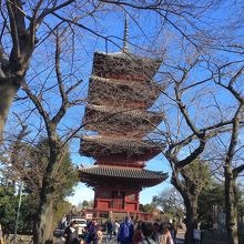 大きくて立派な塔