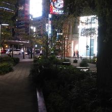 夜間の様子です。