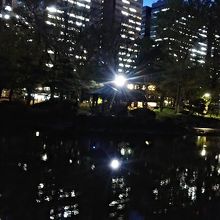 夜間の様子です。