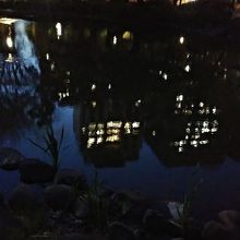 池の水にビル街の明かりが映っています。