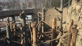 新しい施設がいっぱい