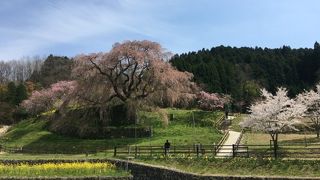 少し時期を外してしまいましたが・・・