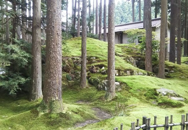 癒される空間です。