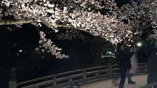 本来なら絶景ポイントが。