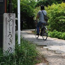 平等院へと延びる道