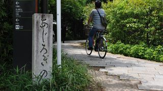 平等院から散策