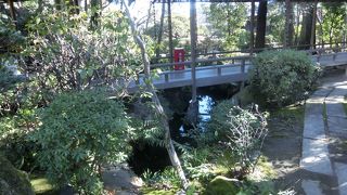 物静かな滝が心いやす